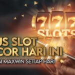 Perbedaan Slot Online Volatilitas Tinggi dan Rendah
